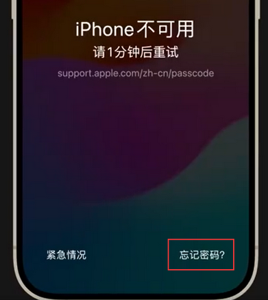 云阳苹果手机密码维修分享iPhone忘记了刚设置的密码 